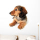 Dachshund Puppy Wall Decal