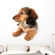 Dachshund Puppy Wall Decal