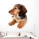 Dachshund Puppy Wall Decal