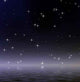 Estrellas En El Mar Wall Decal