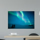 Northern lights (Aurora borealis) above snow 