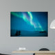 Northern lights (Aurora borealis) above snow 