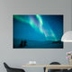 Northern lights (Aurora borealis) above snow 