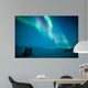 Northern lights (Aurora borealis) above snow 