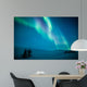 Northern lights (Aurora borealis) above snow 
