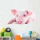 Pink Pig in Lying on His Stomach 