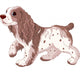 Spaniel dog Wall Decal