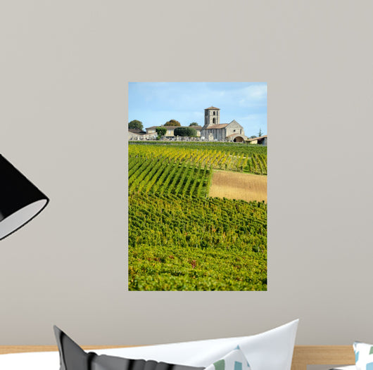 Vineyards of Montagne-Saint-Emilion Bordeaux Vineyards 