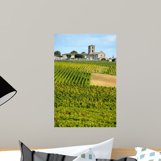 Vineyards of Montagne-Saint-Emilion Bordeaux Vineyards 
