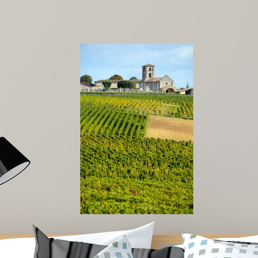 Vineyards of Montagne-Saint-Emilion Bordeaux Vineyards 