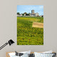 Vineyards of Montagne-Saint-Emilion Bordeaux Vineyards 