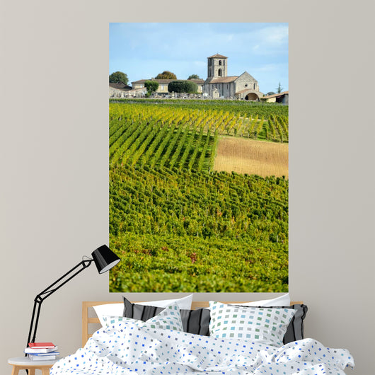 Vineyards of Montagne-Saint-Emilion Bordeaux Vineyards 