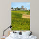 Vineyards of Montagne-Saint-Emilion Bordeaux Vineyards 