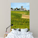 Vineyards of Montagne-Saint-Emilion Bordeaux Vineyards 