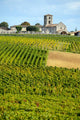 Vineyards of Montagne-Saint-Emilion Bordeaux Vineyards 