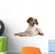 brittany spaniel Wall Decal