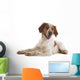 brittany spaniel Wall Decal