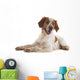 brittany spaniel Wall Decal