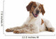 brittany spaniel Wall Decal
