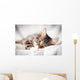 Cat White Veil Wall Decal