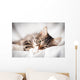 Cat White Veil Wall Decal