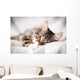 Cat White Veil Wall Decal