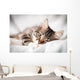 Cat White Veil Wall Decal