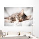 Cat White Veil Wall Decal