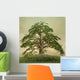 Enchanted nature series - The green tree 