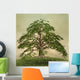 Enchanted nature series - The green tree 