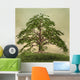 Enchanted nature series - The green tree 