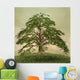 Enchanted nature series - The green tree 