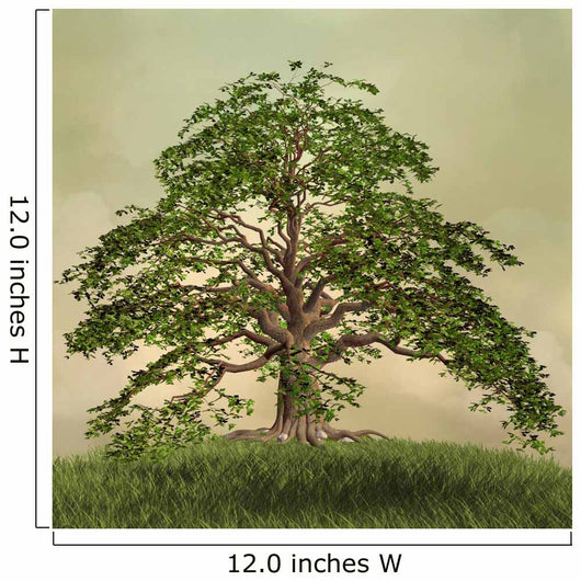 Enchanted nature series - The green tree 