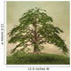 Enchanted nature series - The green tree 
