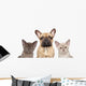 French Bulldog and Two Wall Decal