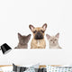 French Bulldog and Two Wall Decal
