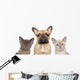 French Bulldog and Two Wall Decal