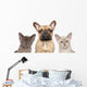 French Bulldog and Two Wall Decal
