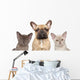 French Bulldog and Two Wall Decal