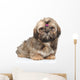 Shihtzu Puppy Portrait White Wall Decal