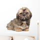 Shihtzu Puppy Portrait White Wall Decal