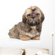 Shihtzu Puppy Portrait White Wall Decal