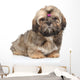Shihtzu Puppy Portrait White Wall Decal