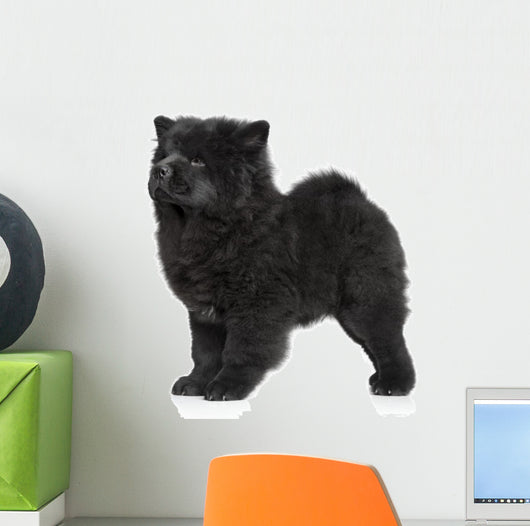 X421 How Chow Long-haired Wall Decal