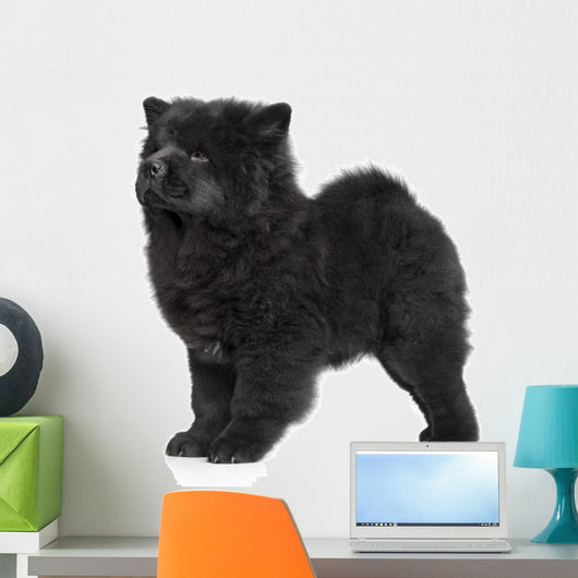 X421 How Chow Long-haired Wall Decal