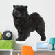 X421 How Chow Long-haired Wall Decal