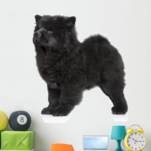 X421 How Chow Long-haired Wall Decal