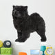 X421 How Chow Long-haired Wall Decal