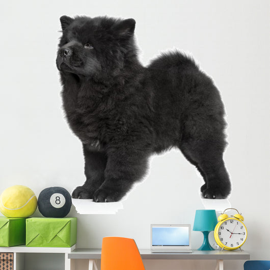 X421 How Chow Long-haired Wall Decal