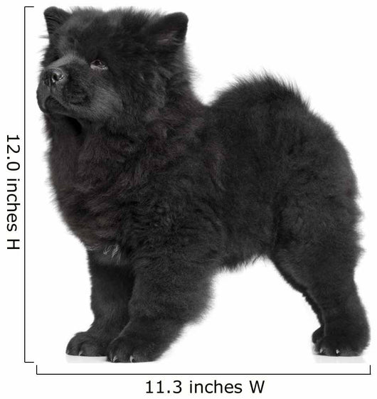 X421 How Chow Long-haired Wall Decal